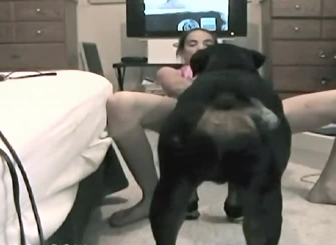 Video :K9 lady got banged in homemade beastiality sex